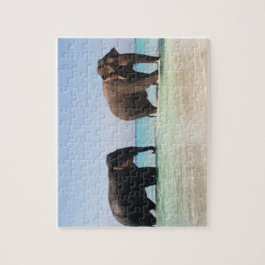 Puzzle des éléphants (Vertical)
