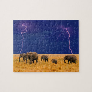 Puzzle des éléphants