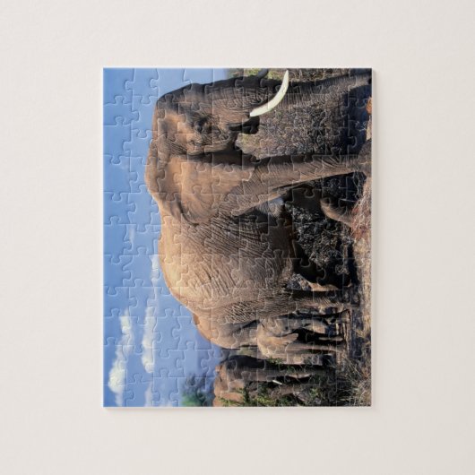 Puzzle des éléphants (Vertical)