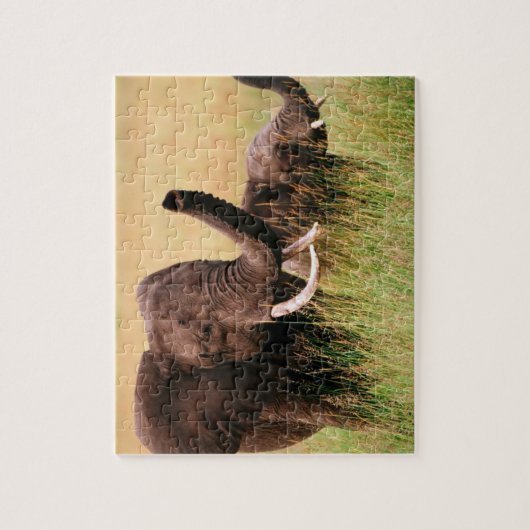 Puzzle des éléphants (Vertical)