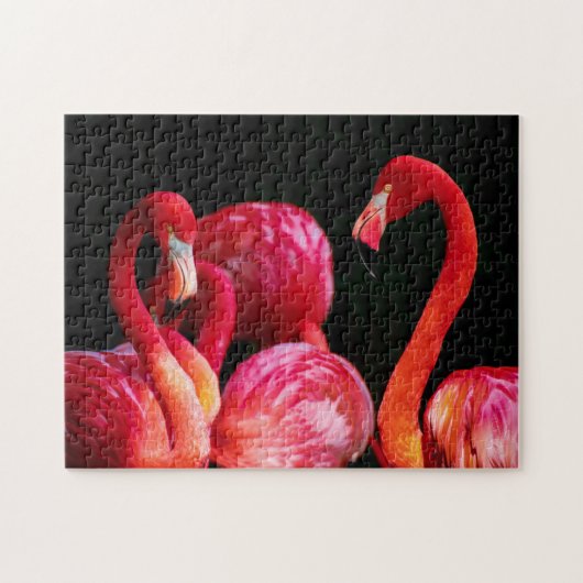 Puzzle des Flamants roses tropicaux (Horizontal)