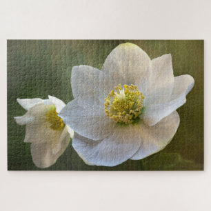 Puzzle des fleurs blanches