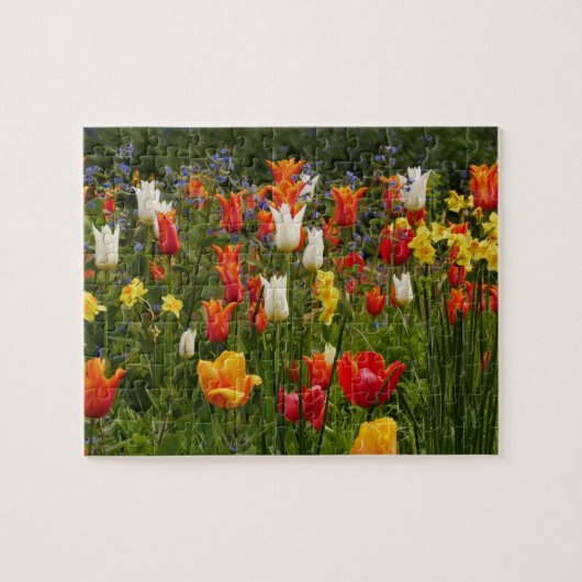 Puzzle des fleurs de printemps (Horizontal)