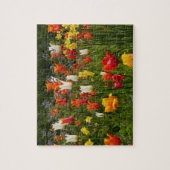 Puzzle des fleurs de printemps (Vertical)