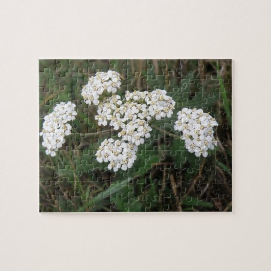Puzzle des Fleurs sauvages blancs (Horizontal)
