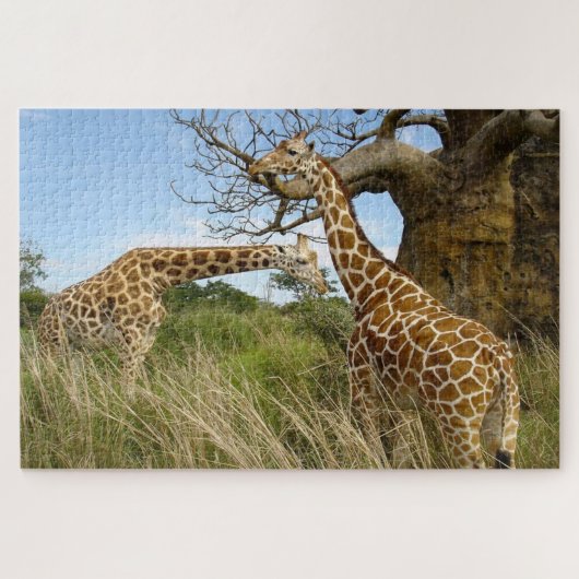 Puzzle Des girafes dans le champ africain par des arbres (Horizontal)