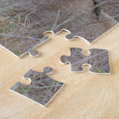Puzzle des lions d'Afrique du Sud (Côté)