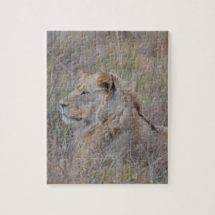 Puzzle des lions d'Afrique du Sud