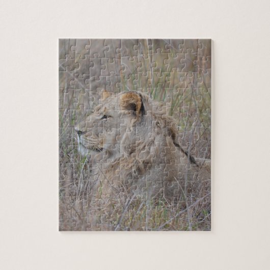 Puzzle des lions d'Afrique du Sud (Vertical)