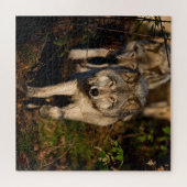 Puzzle des loups de bois de l'Est (Horizontal)