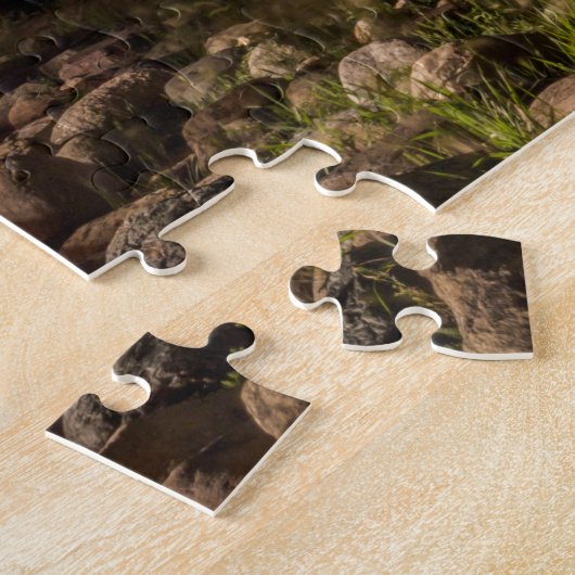 Puzzle Des Moines skyline la nuit (Côté)