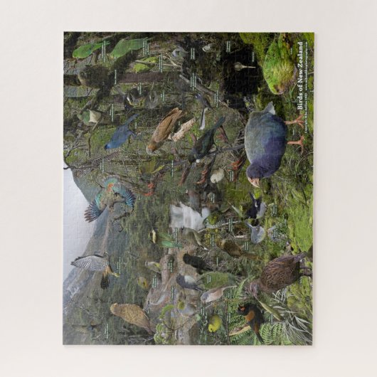 Puzzle des oiseaux de Nouvelle-Zélande (Vertical)