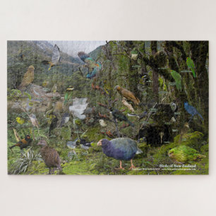 Puzzle des oiseaux de Nouvelle-Zélande