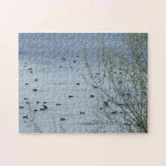 Puzzle des oiseaux du lac (Horizontal)