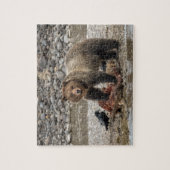 Puzzle des ours grizzlis (Vertical)