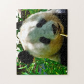 Puzzle Des Panda Bears. (Vertical)