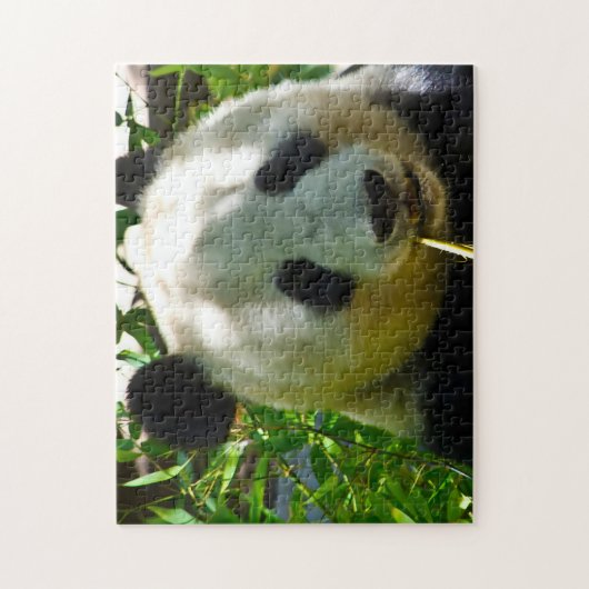 Puzzle Des Panda Bears. (Vertical)
