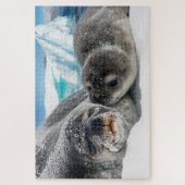 puzzle des phoques arctiques (Vertical)