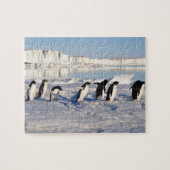 Puzzle des pingouins (Horizontal)