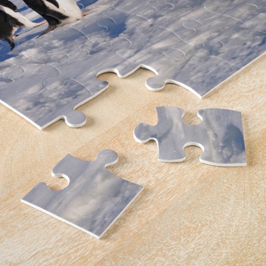 Puzzle des pingouins (Côté)