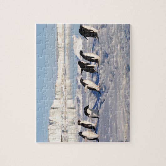 Puzzle des pingouins (Vertical)