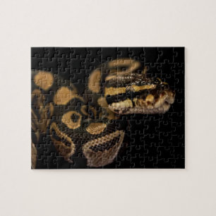 Puzzle des serpents