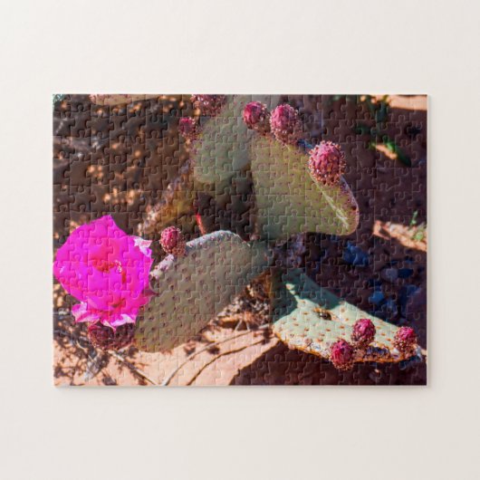 Puzzle Desert Flower Nevada. (Horizontal)