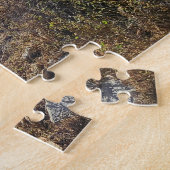 Puzzle Desert Trails, 28 x 35 cm, 252 pcs (Côté)