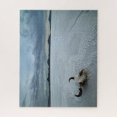 Puzzle Deserts | Bonneville Salt Flats Utah (Vertical)