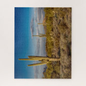 Puzzle Deserts | Superstition Mountains, Arizona (Vertical)