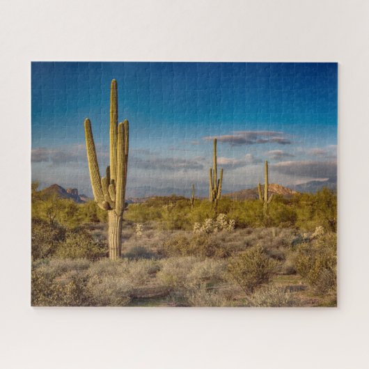 Puzzle Deserts | Superstition Mountains, Arizona (Horizontal)