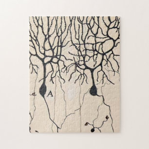 Puzzle Dessin de neurone vintage par Santiago Ramón y Caj