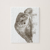 Puzzle Dessin de tortue de mer verte (Vertical)