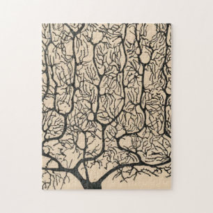 Puzzle Dessin Neuron De Santiago Ramón Y Cajal