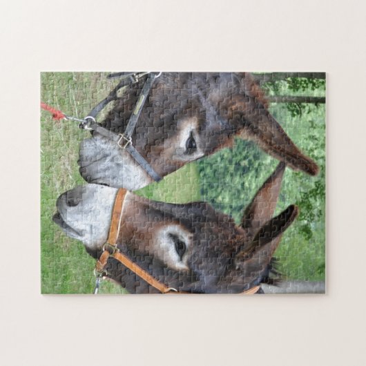 Puzzle Deux ânes mignons (Horizontal)
