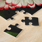 Puzzle Deux baies blanches de Gerbera (Côté)