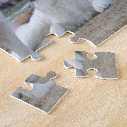 Puzzle Deux Beaux Saint Bernard's (Côté)