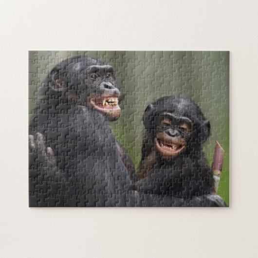 Puzzle Deux bonobos de sourire (Horizontal)