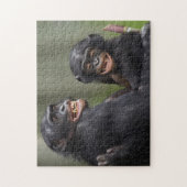 Puzzle Deux bonobos de sourire (Vertical)