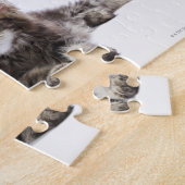 Puzzle Deux chatons du chat coon du Maine (Côté)