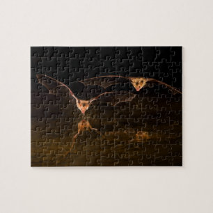 Puzzle Deux chauves-souris volant au-dessus de l'eau, Ari
