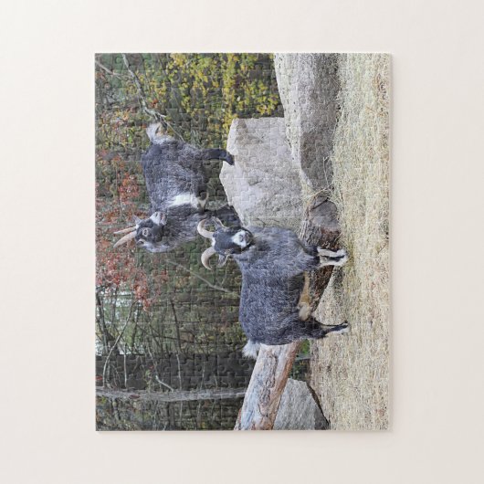 Puzzle Deux chèvres (Vertical)