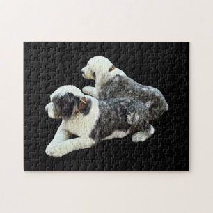 Puzzle Deux chiens de berger