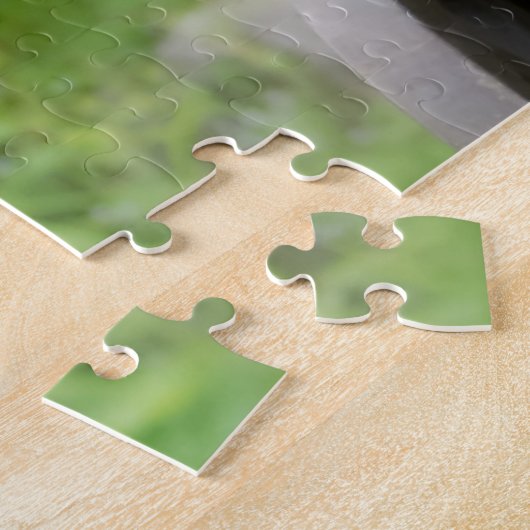 Puzzle Deux chiens par chiot carlin et Boston Terrier dan (Côté)