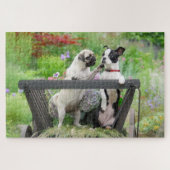 Puzzle Deux chiens par chiot carlin et Boston Terrier dan (Horizontal)