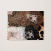 Puzzle Deux chiots mignons de caniche de jouet de caniche (Horizontal)