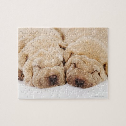 Puzzle Deux chiots Shar Pei dorment (Horizontal)