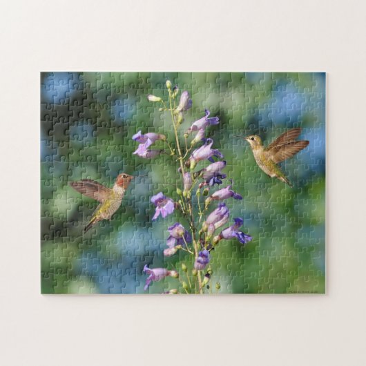 Puzzle Deux colibris en vol avec fleurs (Horizontal)
