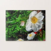 Puzzle Deux Coquelicots Blancs (Horizontal)