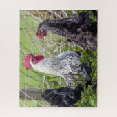 Puzzle deux coquillages colorés (Vertical)